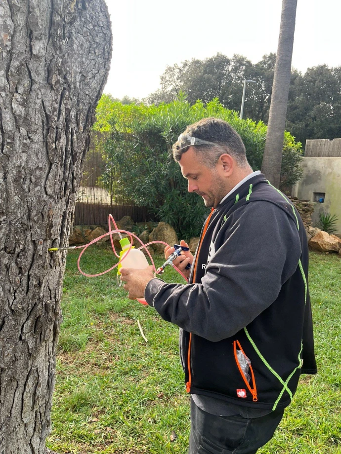 Preventive Processionary Caterpillar Treatment