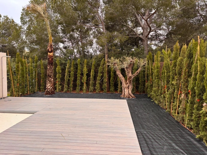 Mediterranean garden construction
